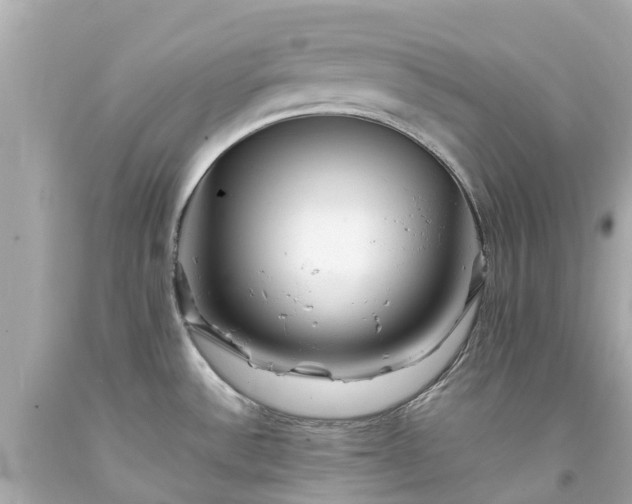 X0000094181532200711020953