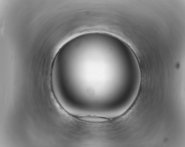 X0000094181534200711020953