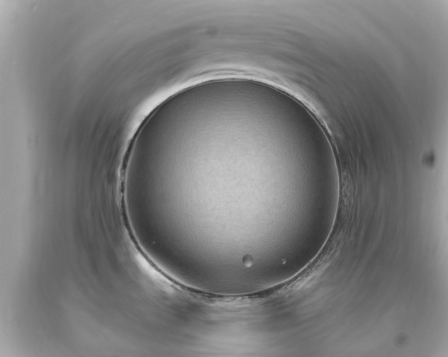 X0000094181535200711020953