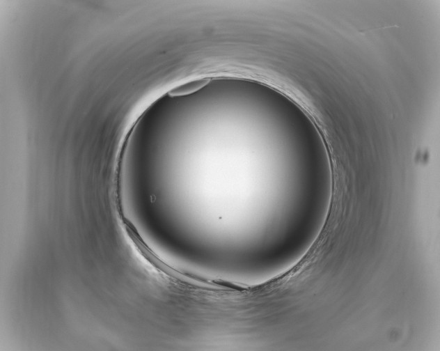 X0000094181536200711020953