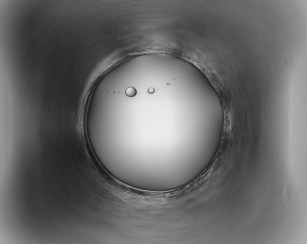 X0000094180004200711091151