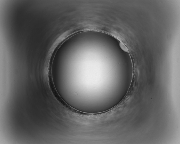 X0000094180007200711091151