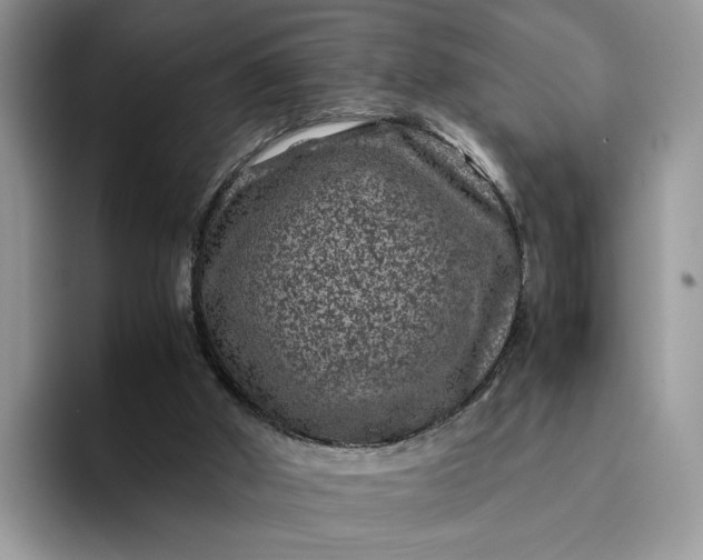X0000094180010200711091151