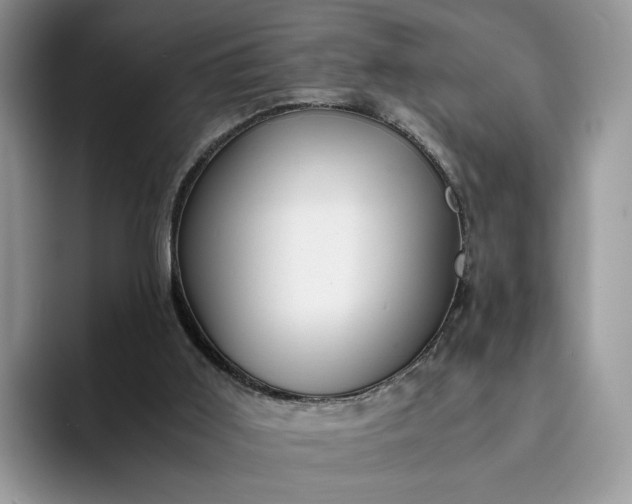 X0000094180011200711091151