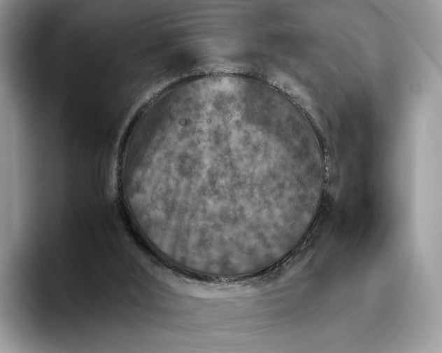 X0000094180012200711091151