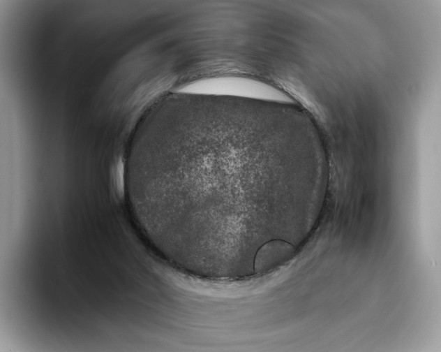 X0000094180014200711091151