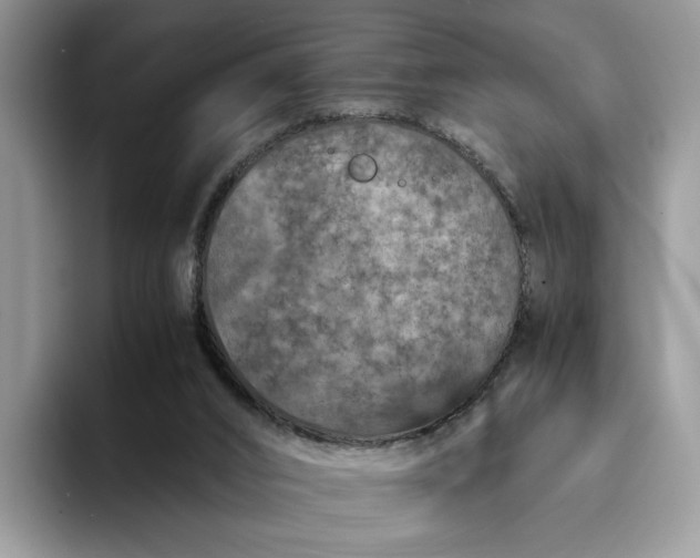 X0000094180016200711091151