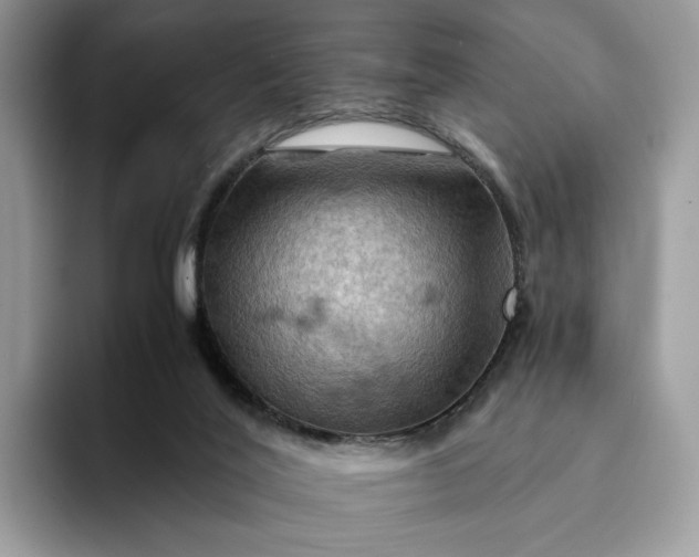 X0000094180020200711091151
