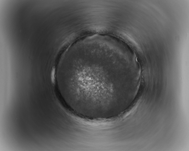 X0000094180024200711091151