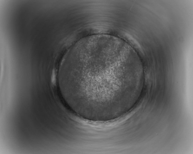 X0000094180026200711091151