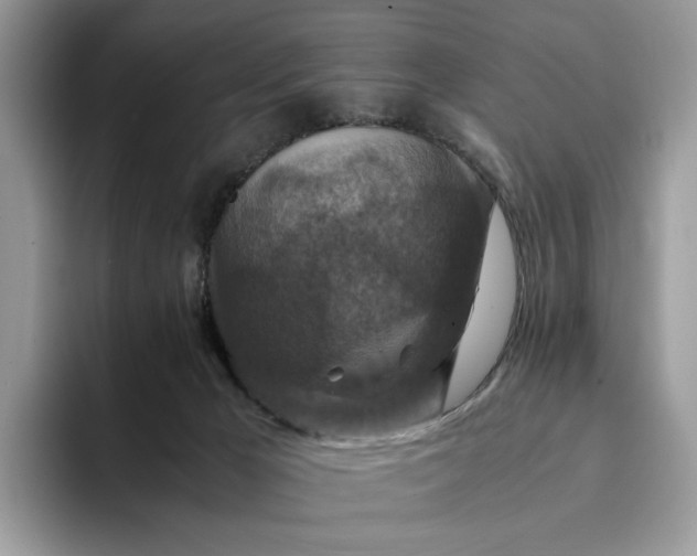 X0000094180029200711091151