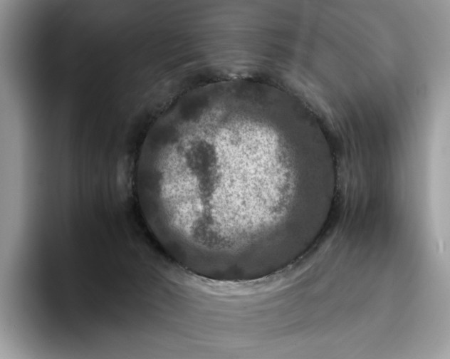 X0000094180030200711091151