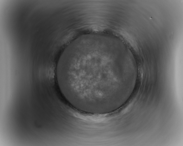 X0000094180032200711091151