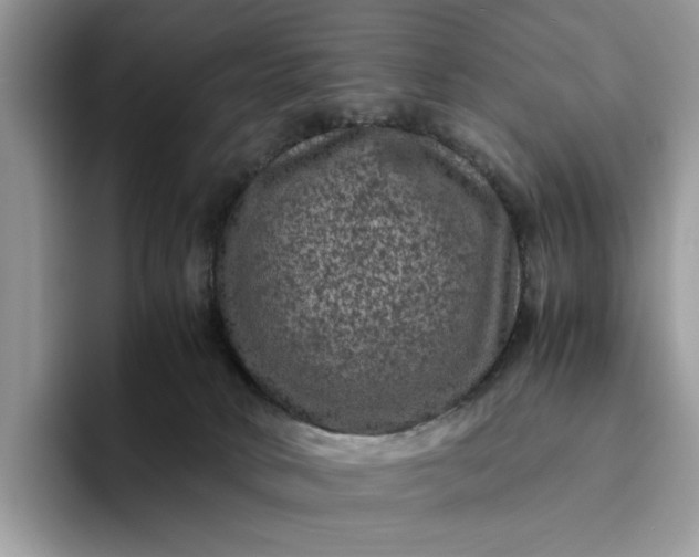 X0000094180034200711091150