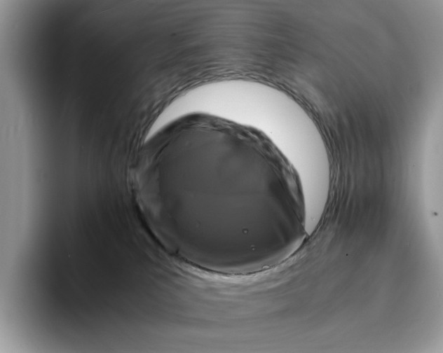 X0000094180039200711091150