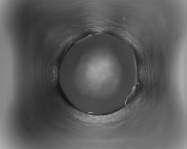 X0000094180043200711091150