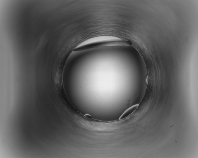 X0000094180044200711091150