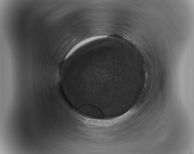X0000094180048200711091150