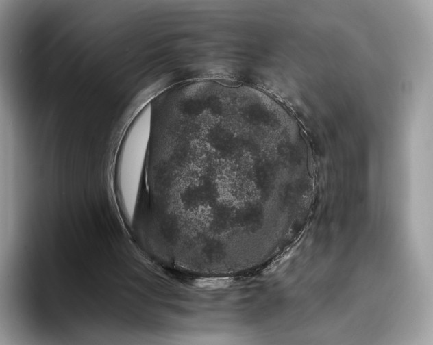 X0000094180051200711091150