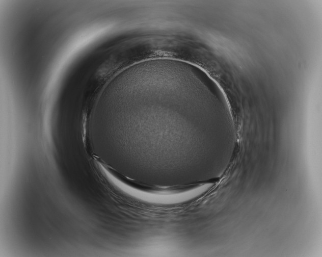 X0000094180052200711091150