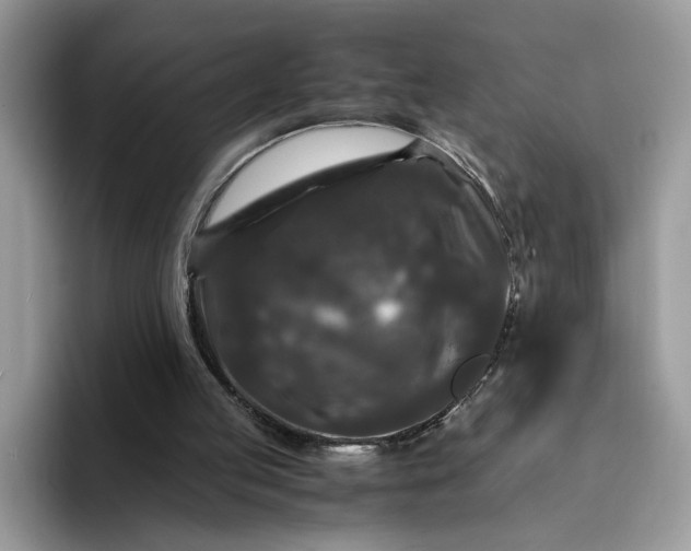 X0000094180053200711091150
