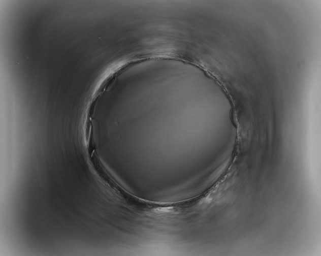 X0000094180054200711091150