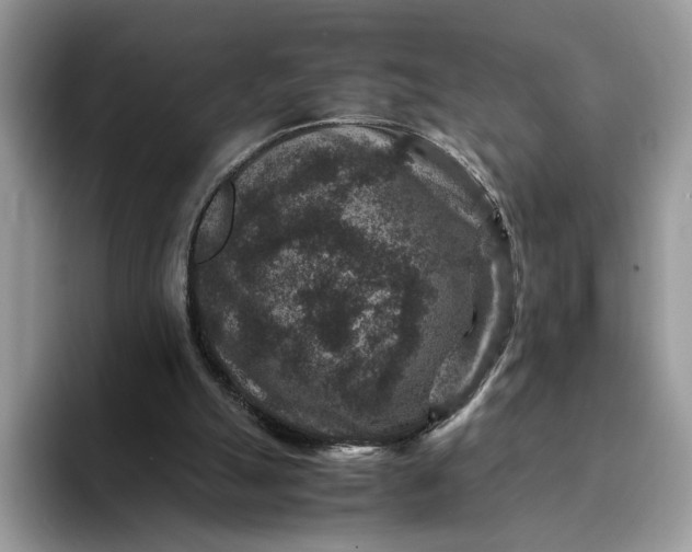 X0000094180055200711091150