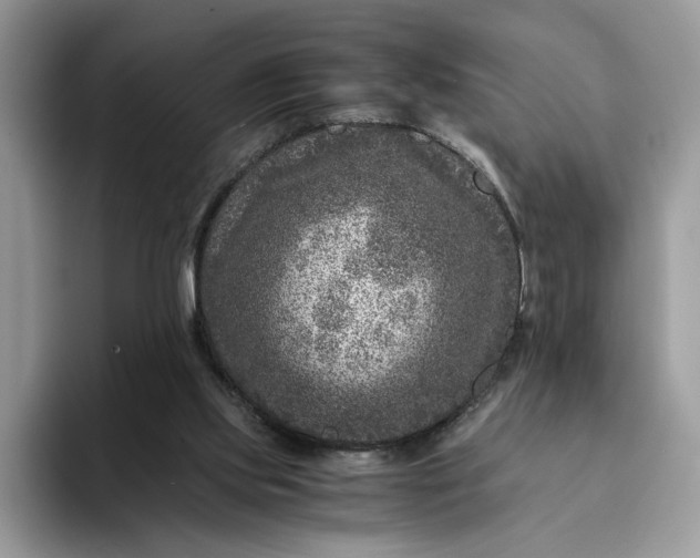 X0000094180061200711091150