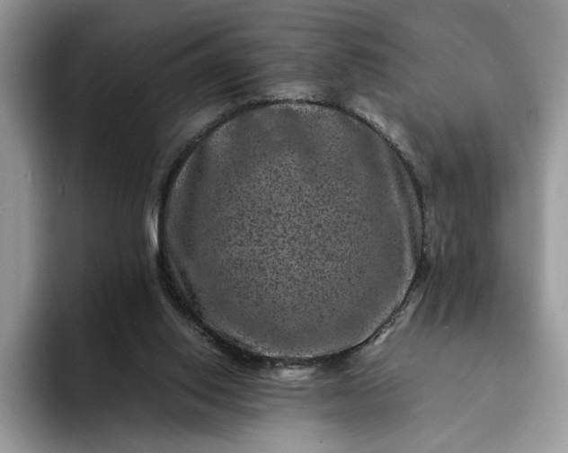 X0000094180062200711091150