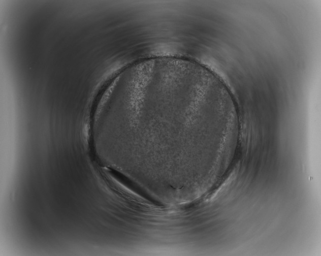 X0000094180063200711091150