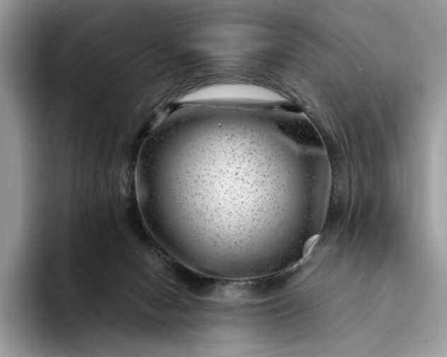 X0000094180078200711091150