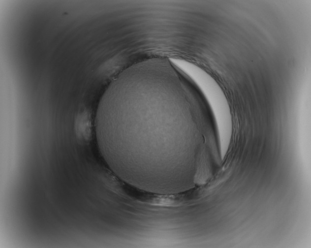 X0000094180080200711091150