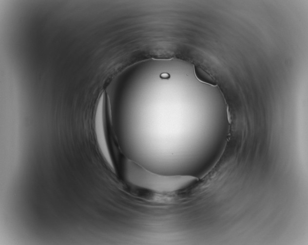 X0000094180084200711091150