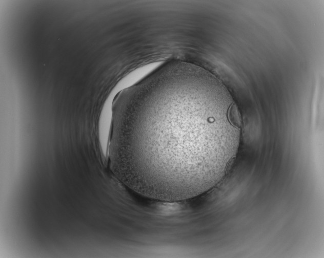 X0000094180085200711091150
