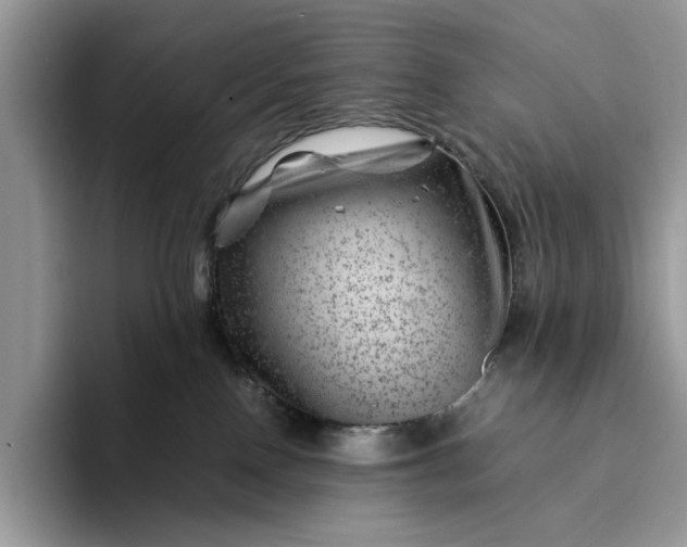 X0000094180090200711091150