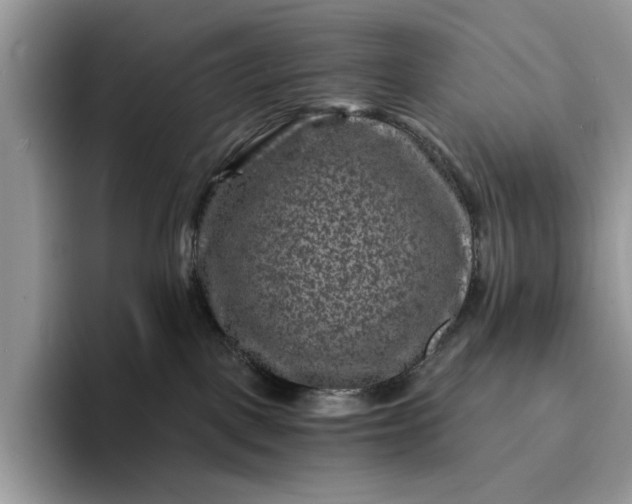 X0000094180093200711091150