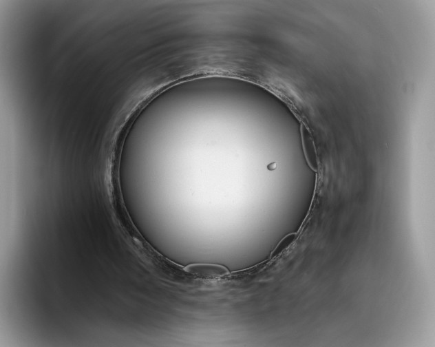 X0000094180098200711091150