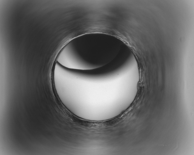 X0000094180099200711091150