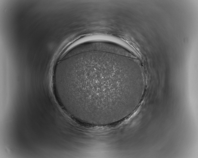 X0000094180101200711091150