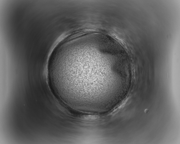 X0000094180102200711091150