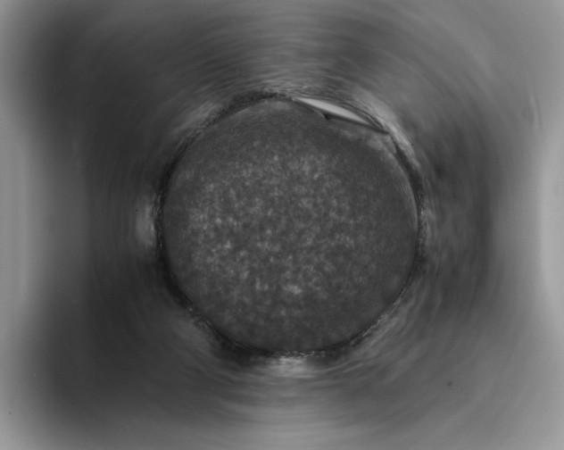 X0000094180114200711091149