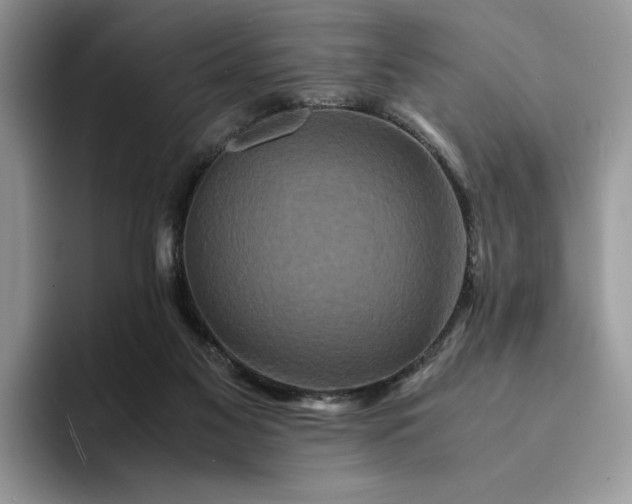 X0000094180117200711091149