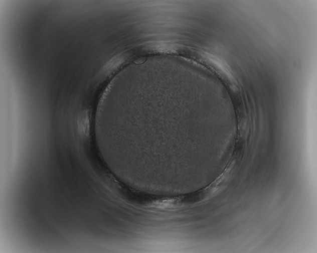 X0000094180120200711091149