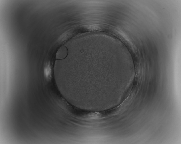 X0000094180124200711091149