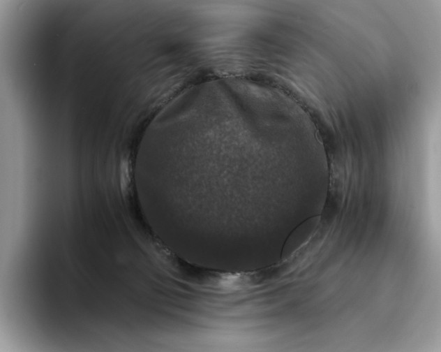 X0000094180130200711091149