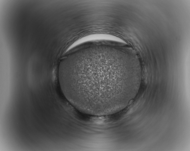 X0000094180131200711091149