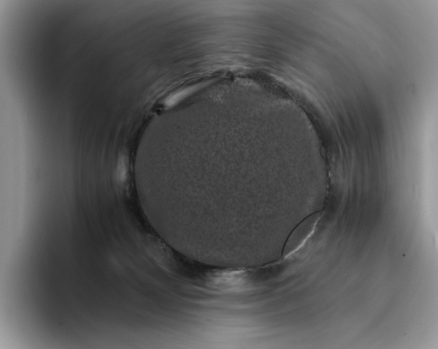 X0000094180132200711091149