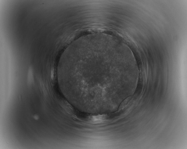 X0000094180134200711091149