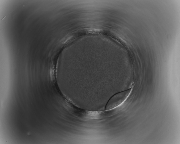 X0000094180144200711091149