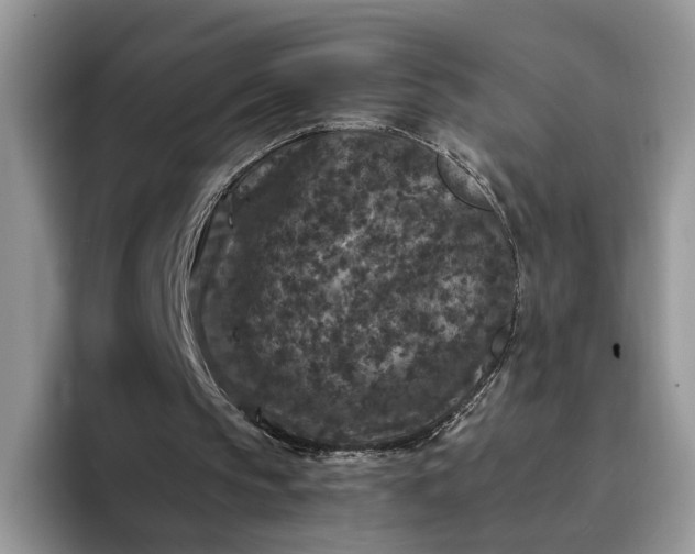 X0000094180145200711091148